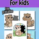 groundhog coloring pages pinterest image