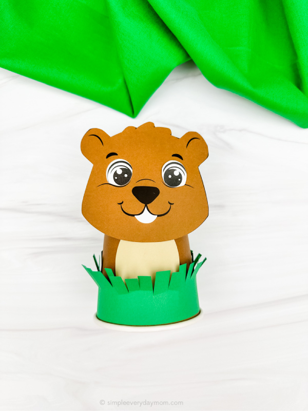 solo image of groundhog cup craft