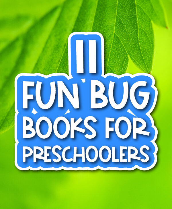 11 fun bug books for preschoolers