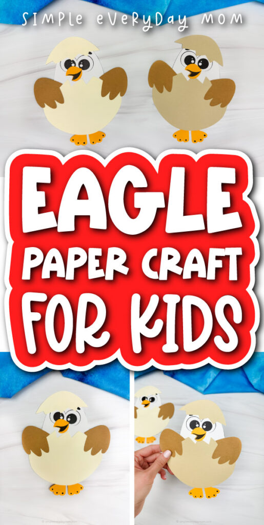 eaglet craft cover image