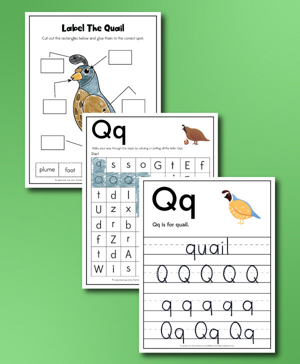 three example of printable quail worksheets