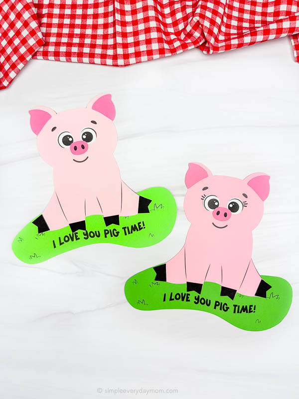 two example of finished Mother's Day Pig Craft