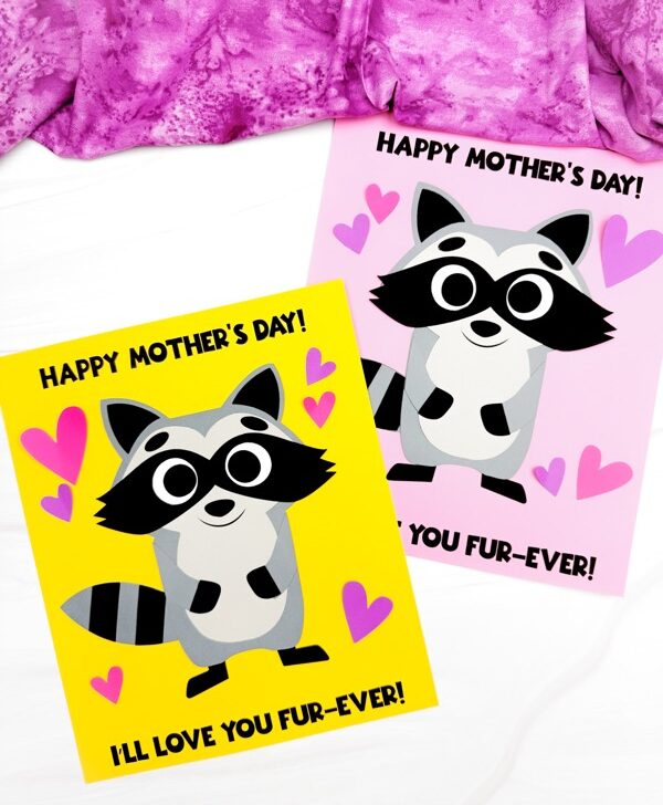 Featured image of Happy Mother's Day Raccoon Craft