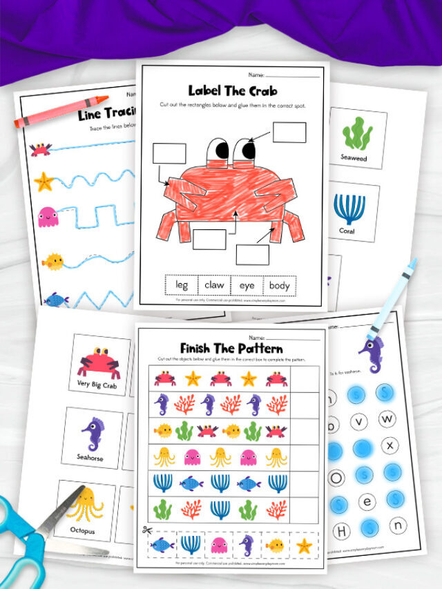 Don’t Worry Little Crab Activities For Kids Story
