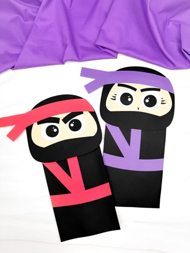 Featured image of the Ninja Puppet Craft