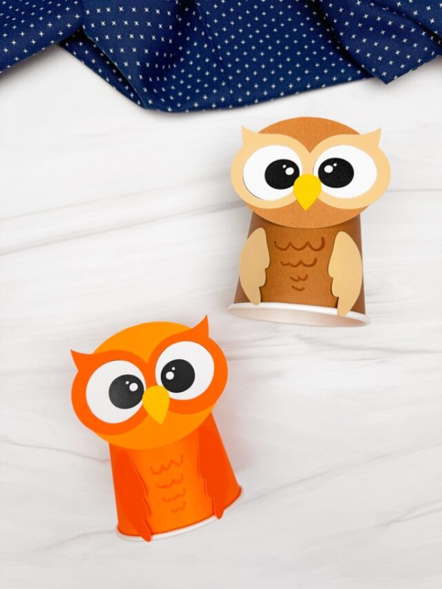 Featured image of the Owl Paper Cup Craft