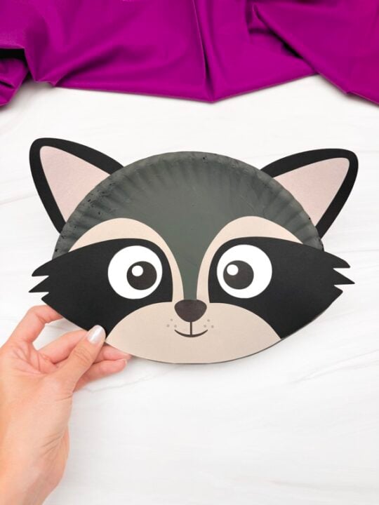 Staring Racoon Paper Cute Raccoon Paper Plate Craft For Kids (Free PDF Template)