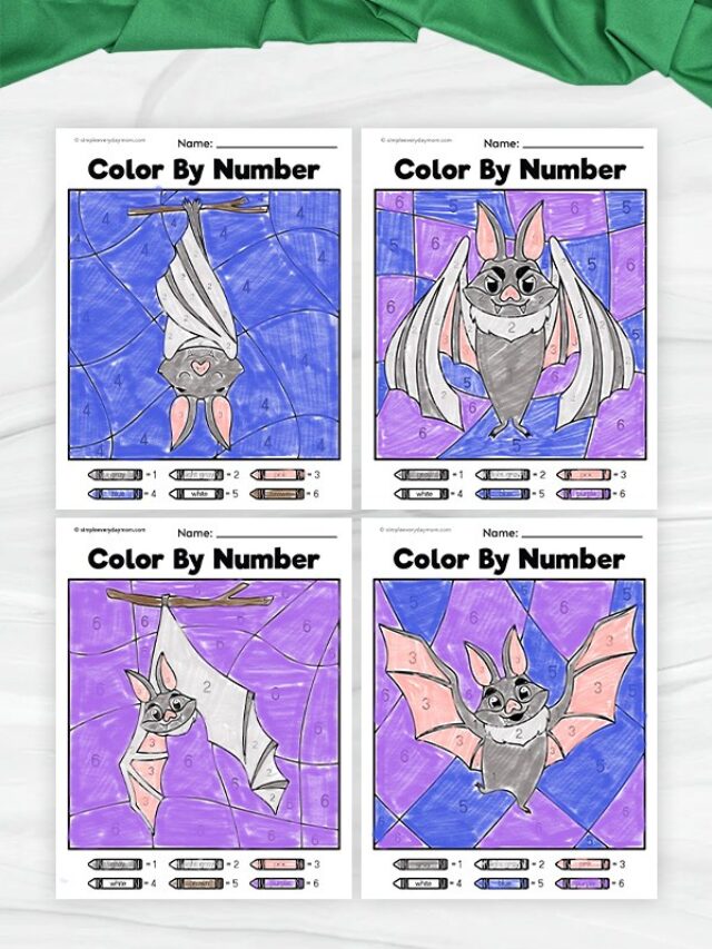Featured image of the Bat Color By Numbers