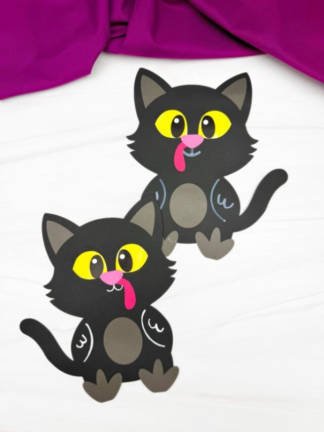 Two finished example of the Black Cat Turkey Disguise
