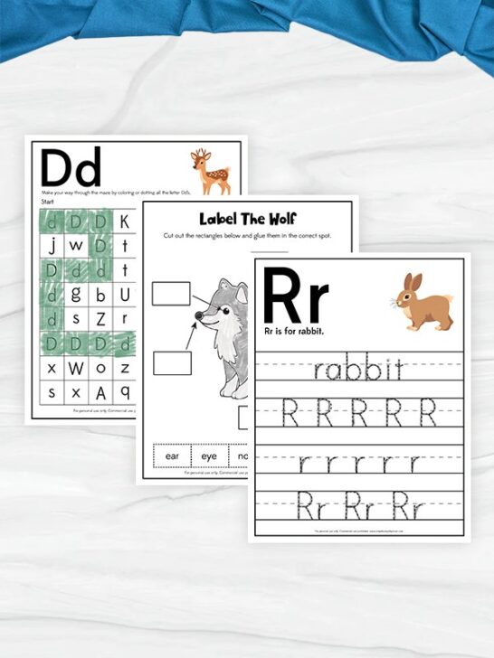 Free Printable Forest Animal Worksheets
