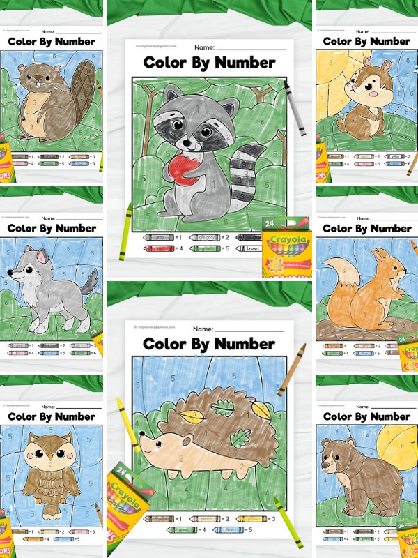 forest animal color by numbers shop image collage