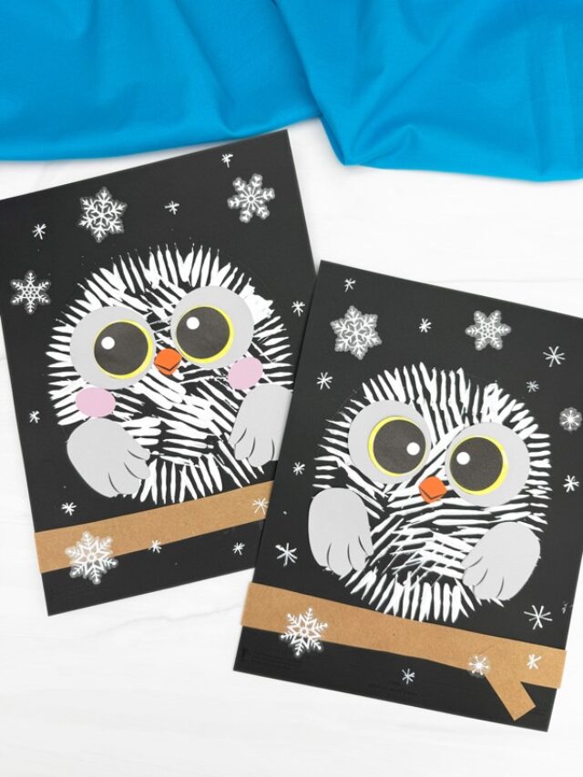 Featured image of the Fork Painted Snowy Owl