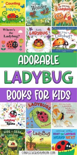 19 Fun To Read Preschool Ladybug Books