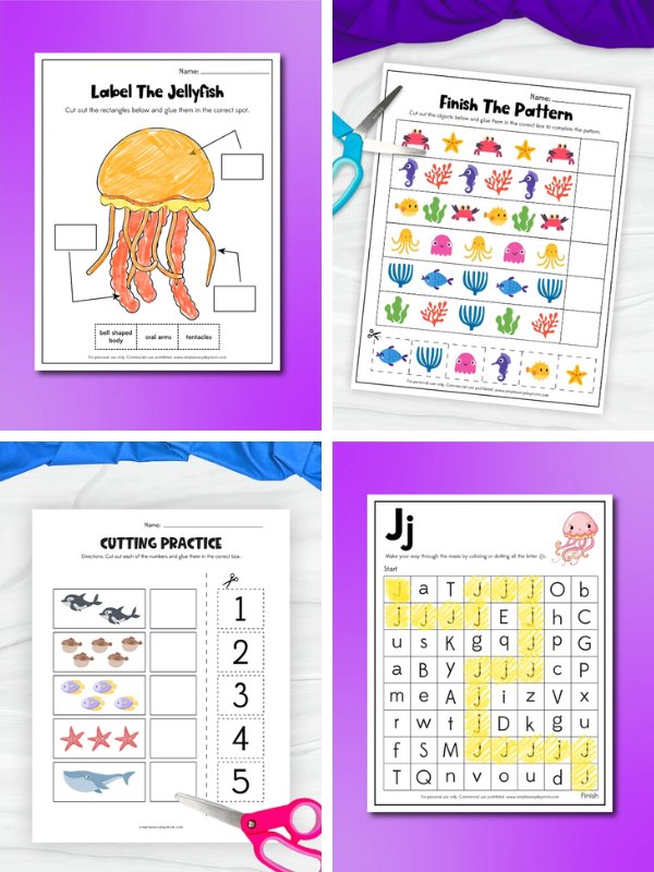 collage image of 4 Ocean Activities For Kids