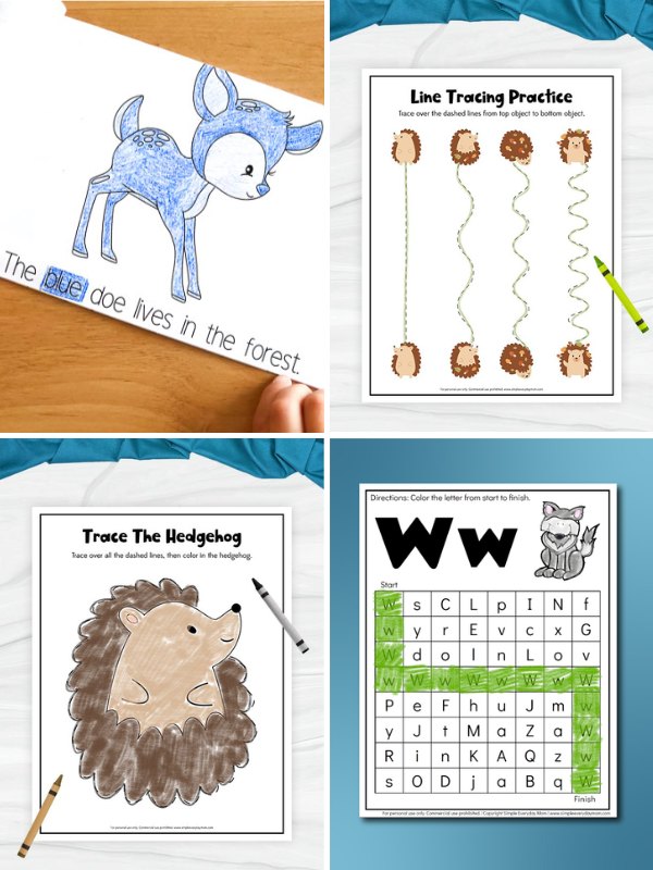 A collage of four forest animal-themed worksheets for kids: a coloring and sentence activity with a blue deer (top left), a line tracing page with hedgehogs (top right), a “Trace the Hedgehog” coloring sheet (bottom left), and a letter maze where children trace the letter “W” from start to finish (bottom right).