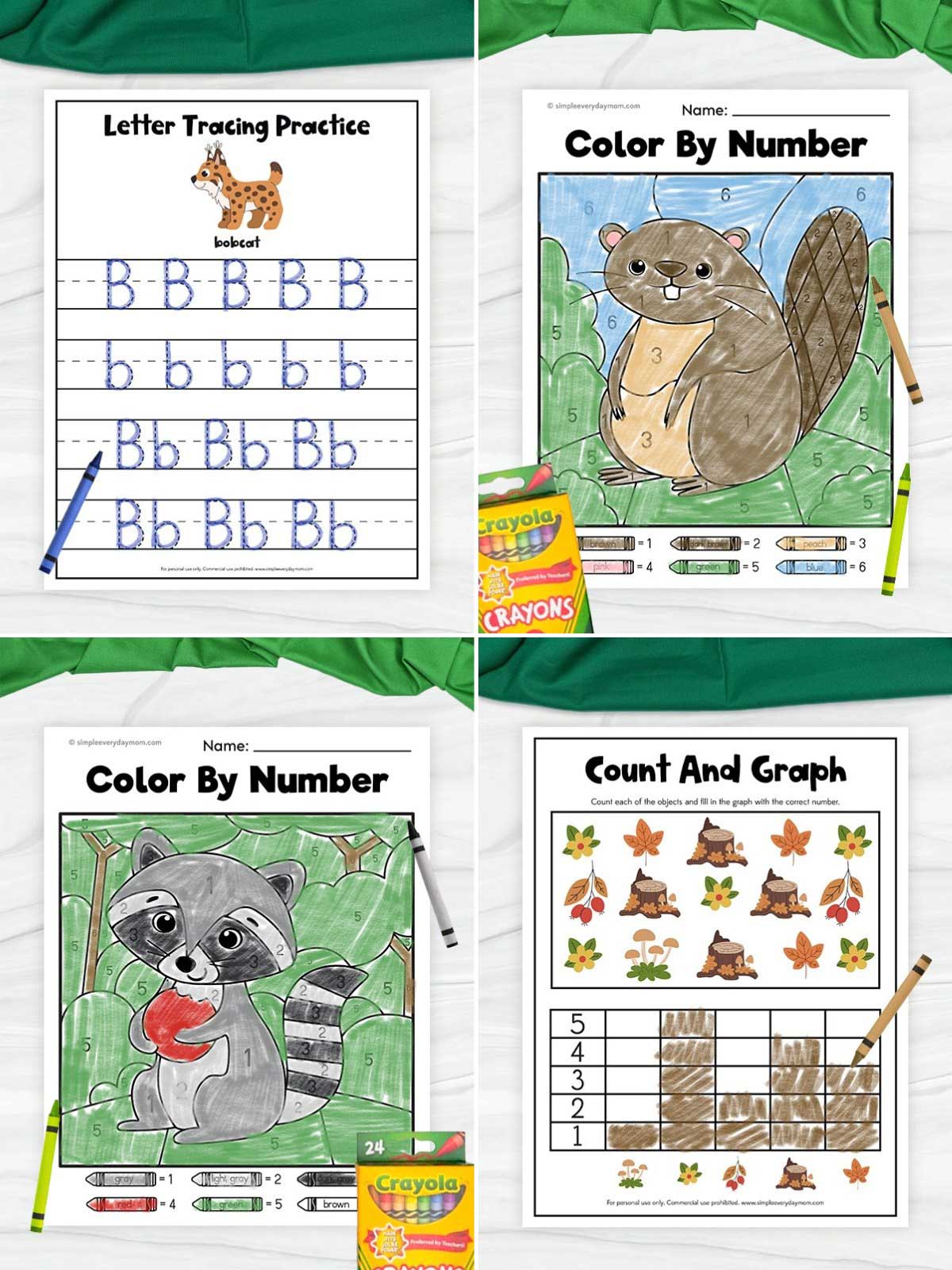 The image is a collage of four children’s activity worksheets with a woodland animal theme. It includes a letter tracing page for the letter “B,” color-by-number pictures of a beaver and a raccoon, and a counting and graphing activity with leaves and forest items. Crayons and a green cloth are placed around the pages, adding a playful and classroom-like setting.
