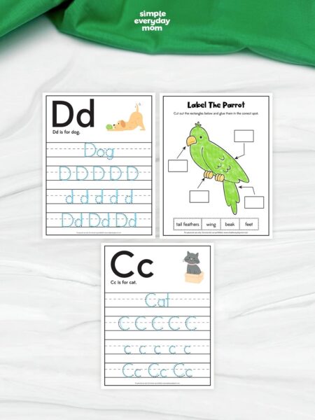 This image showcases three pet-themed educational worksheets designed for kindergarten students to practice handwriting, vocabulary, and labeling skills. The activities include tracing the letters “C” and “D” with matching animal words like cat and dog, along with a “Label the Parrot” worksheet that teaches children basic animal body parts. Cute animal illustrations, simple layouts, and hands-on learning exercises make these printables fun and engaging for early learners.