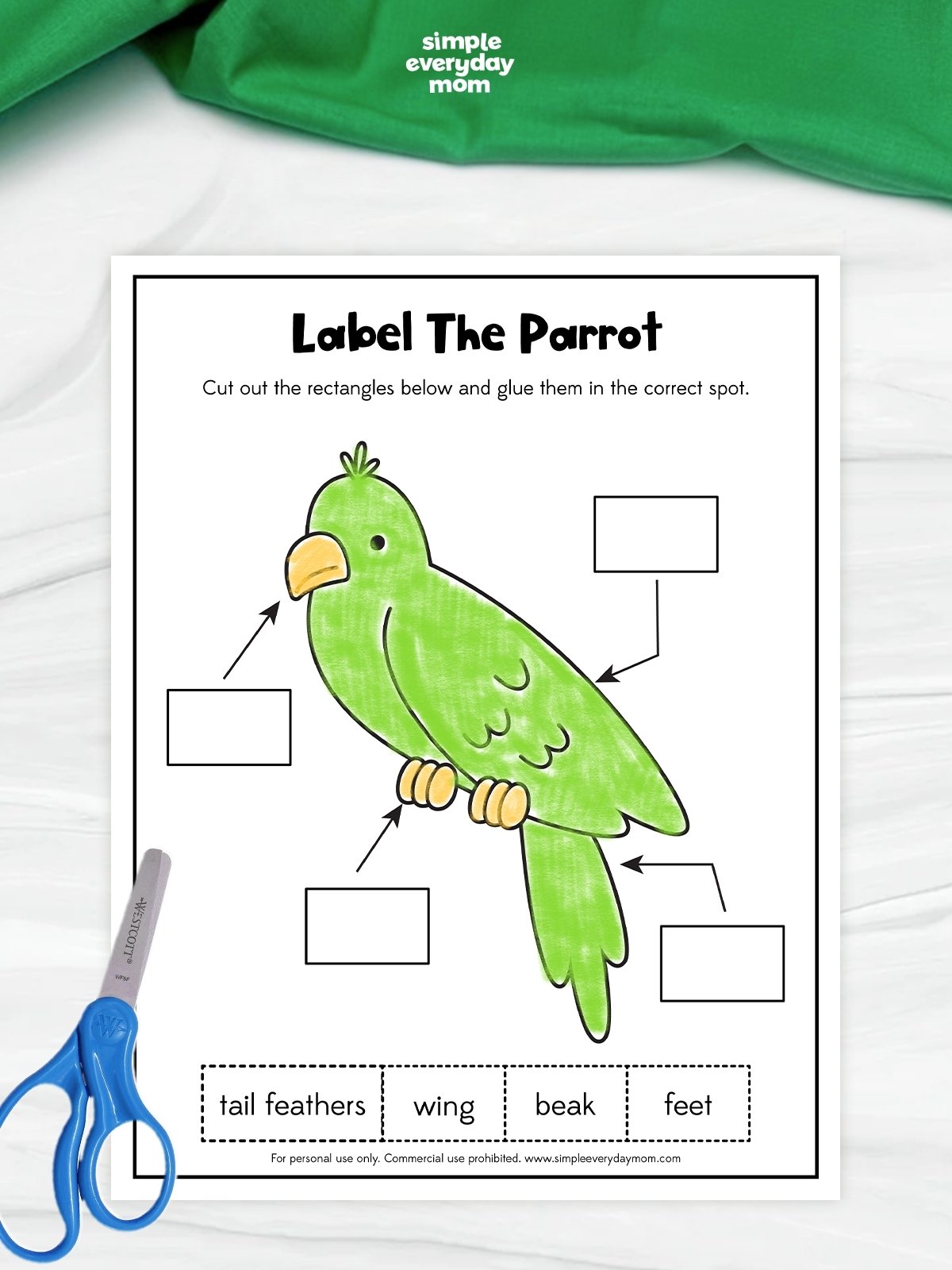 This preschool printable is a fun “Label the Parrot” activity worksheet designed to help kids learn basic bird body parts and build early vocabulary skills. Children cut out the labels — tail feathers, wing, beak, and feet — and glue them into the correct boxes pointing to each part of the parrot. The activity also supports fine motor development through cutting and pasting practice.