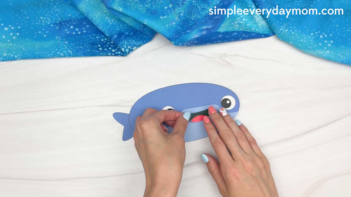 Hands attaching the whale shark's smiling mouth piece to the paper craft template on a white tabletop.