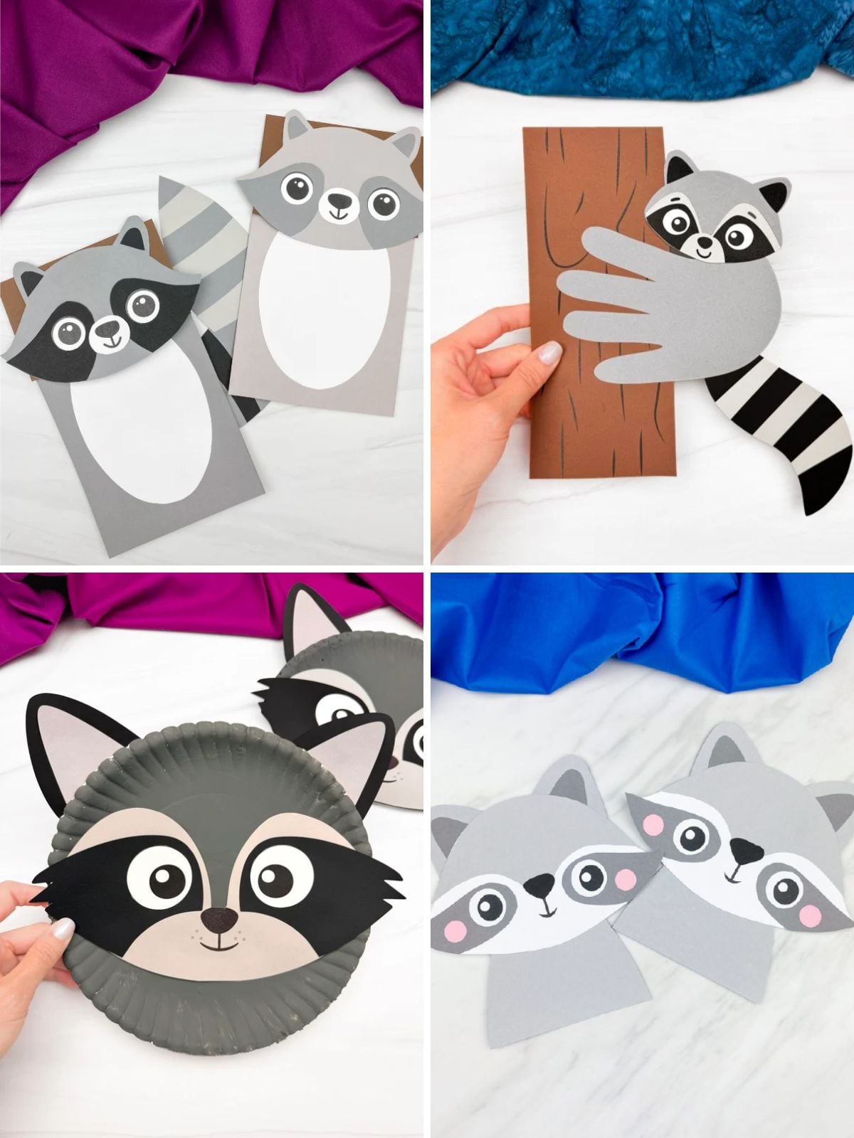 collage image of Raccoon Craft for Preschoolers