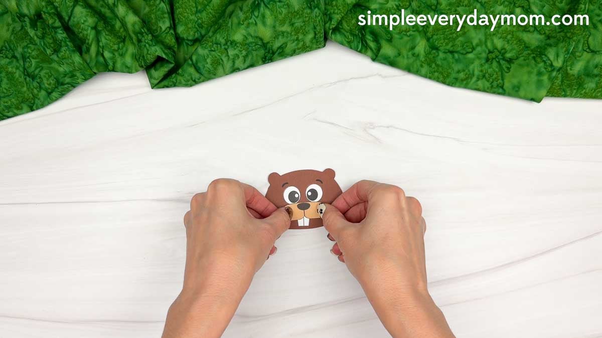 Hands attaching the nose and teeth piece to the beaver head.