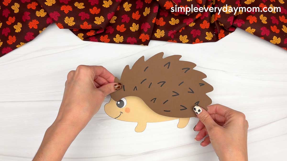 Hands placing the spiky back piece over the hedgehog body.