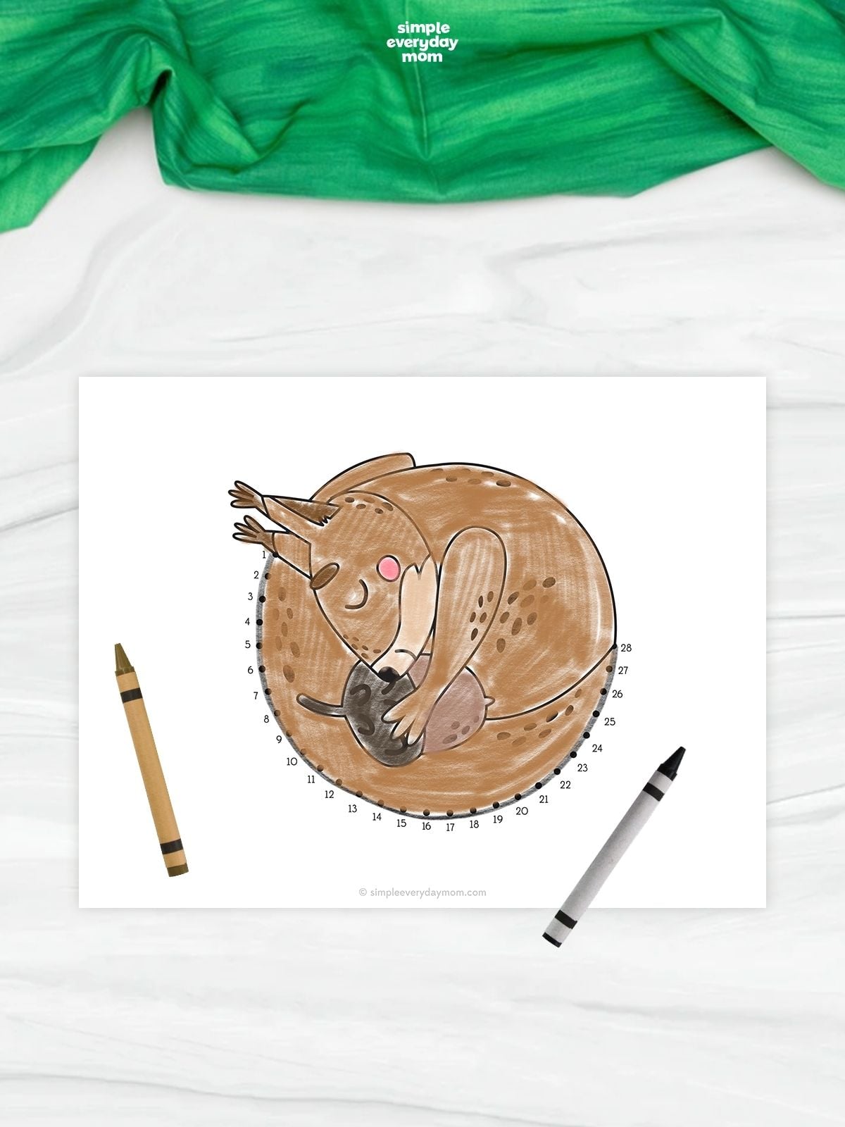 A completed squirrel connect-the-dots worksheet featuring a curled-up squirrel holding an acorn. Numbered dots from 1 to 28 form the rounded outline of the squirrel for number order practice. Brown and black crayons rest beside the finished activity.