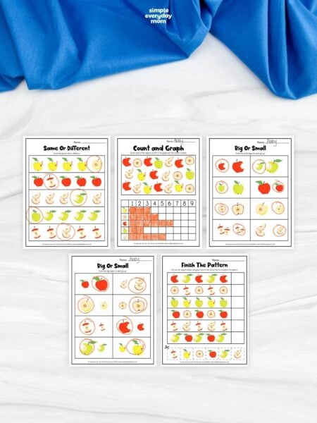The apple-themed worksheets provide fun and interactive activities that help children build essential early learning skills. Kids can practice matching, counting, graphing, comparing sizes, and completing patterns while improving their observation and problem-solving abilities. These printable worksheets are ideal for preschool and kindergarten learners at home or in the classroom.
