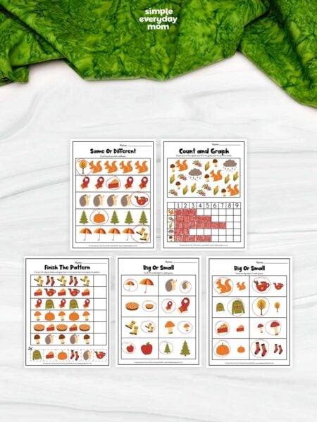 These printable fall worksheets provide a variety of engaging math and logic activities to help preschoolers build essential early learning skills. Kids can practice counting, graphing, patterns, comparing sizes, and identifying similarities and differences through colorful autumn-themed exercises. Perfect for preschool, pre-K, homeschool, classroom centers, small groups, or independent fall learning.