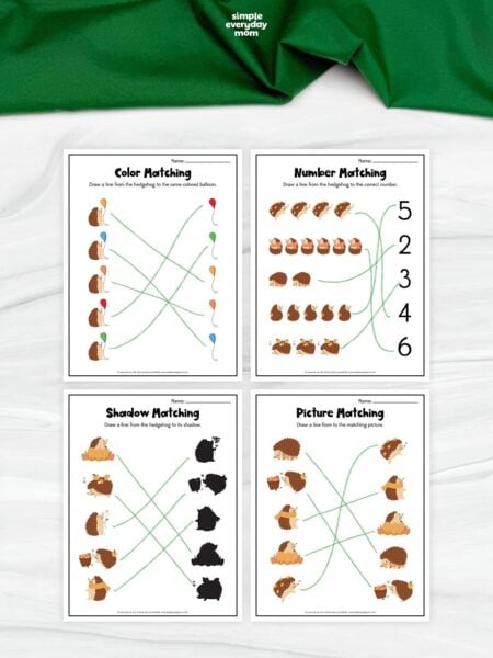 Collage of four hedgehog matching worksheets featuring color, number, shadow, and picture activities. Children draw lines to match colorful hedgehogs with balloons, numbers, silhouettes, and identical pictures. The printable worksheets are arranged in a grid on a white surface with green fabric above.
