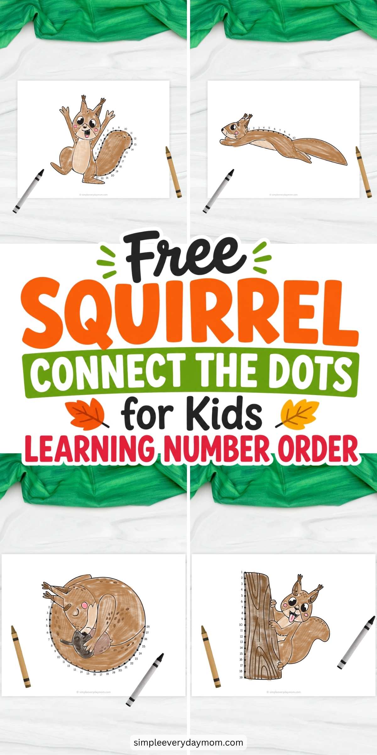 Collage of four squirrel connect-the-dots worksheets featuring squirrels in different playful poses. Children connect numbered dots in order to complete the squirrel pictures while practicing number sequencing and fine motor skills. Large colorful text in the center reads “Free Squirrel Connect the Dots for Kids Learning Number Order.”