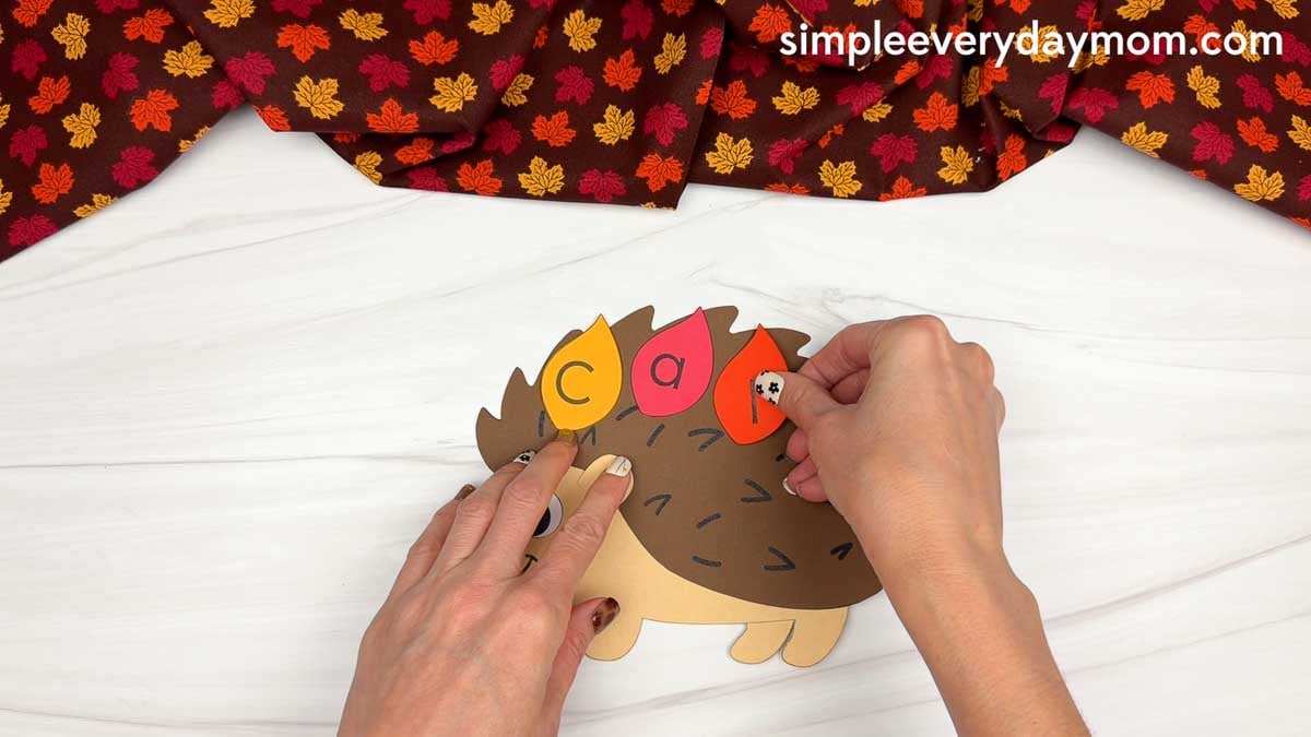 Hands attaching lettered leaves to the hedgehog’s back to spell a name.