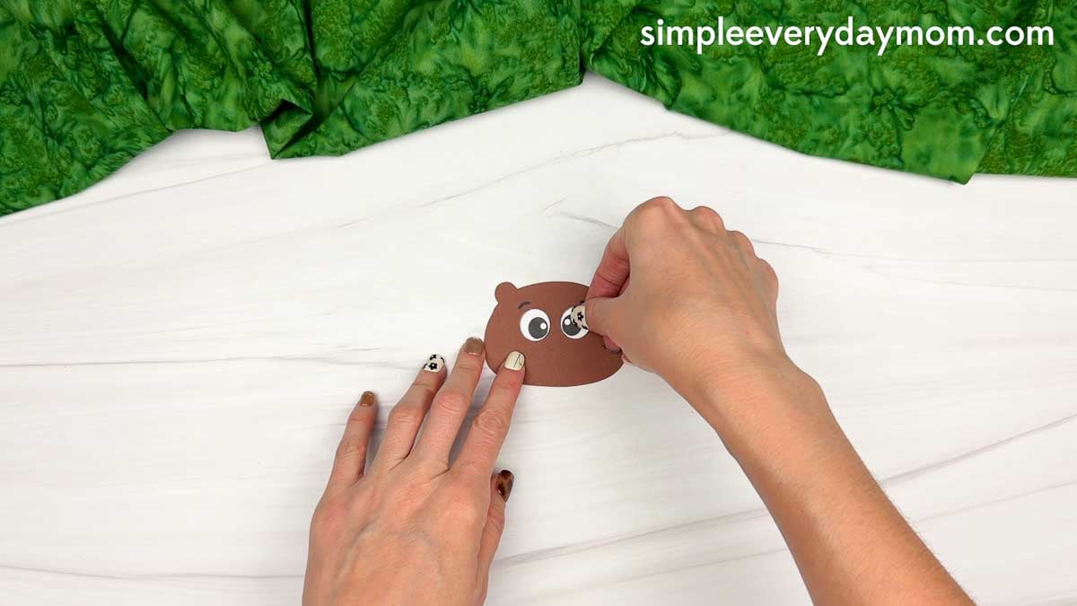 Hands attaching an eye to the beaver head for the Beaver Handprint Craft.