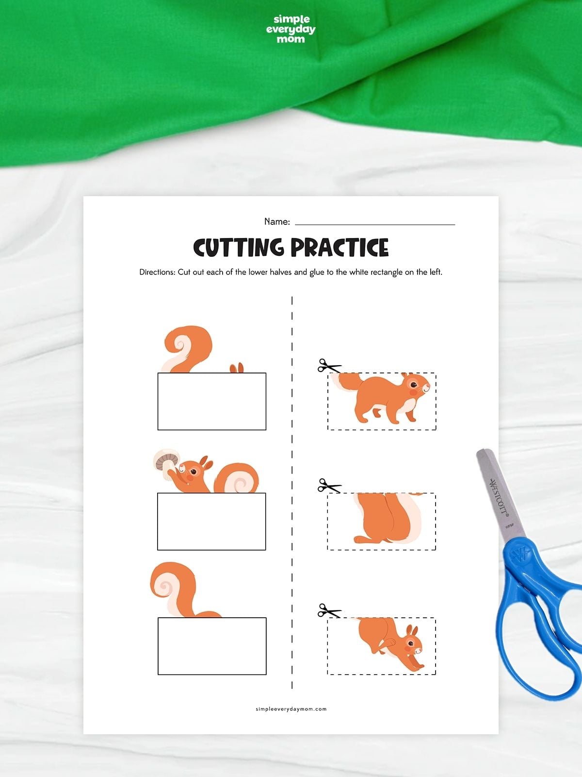 A squirrel cutting practice worksheet with three incomplete squirrel pictures and matching lower halves to cut out. Children cut along the dashed boxes and glue each piece into the correct rectangle to complete the squirrels. Blue scissors rest beside the printable on a white surface with green fabric above.