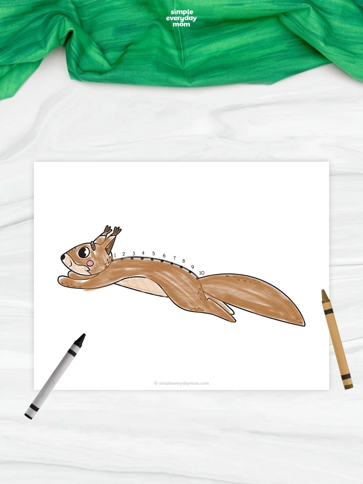 A completed squirrel connect-the-dots worksheet featuring a leaping squirrel with numbered dots from 1 to 10 along its back, with brown and black crayons beside the activity.