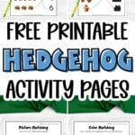 Pinterest Hidden Image