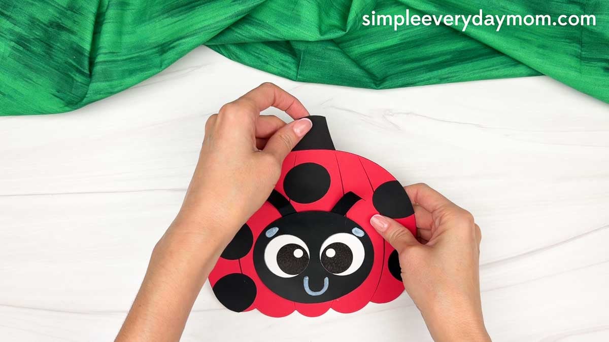 Hands attaching the stem to the top center of the ladybug pumpkin craft.