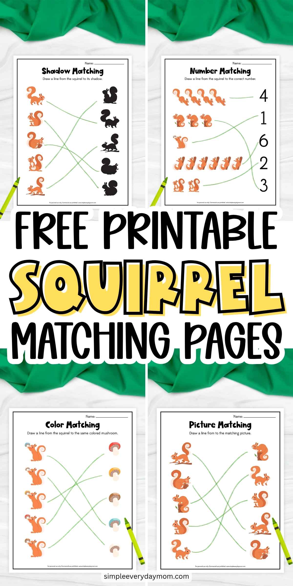 Collage of free printable squirrel matching worksheets with shadow, number, color, and picture matching activities for preschoolers.