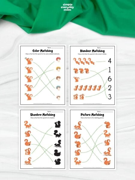 Collage of squirrel matching worksheets featuring color, number, shadow, and picture matching activities for preschoolers.