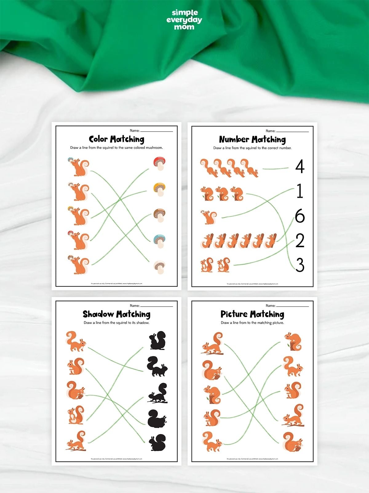 Collage of squirrel matching worksheets featuring color, number, shadow, and picture matching activities for preschoolers.