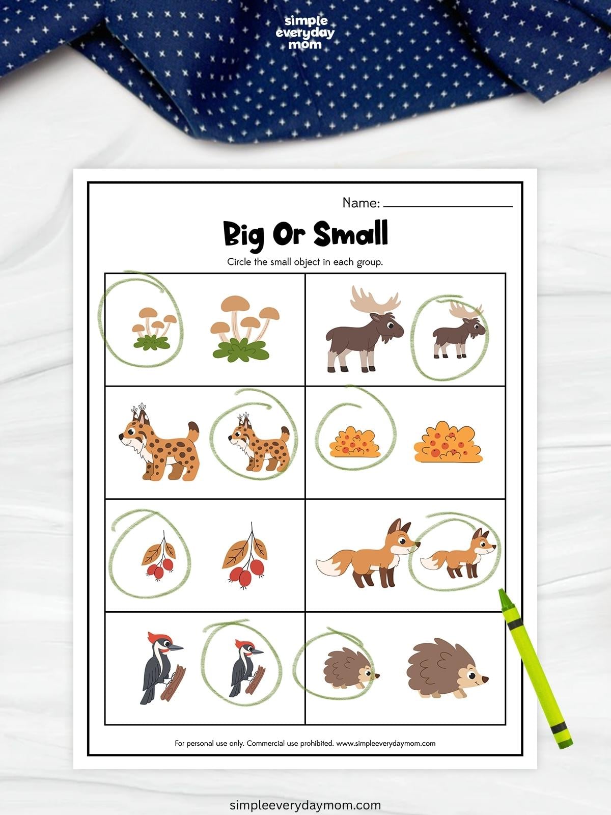 Woodland-themed big-or-small worksheet with pairs of forest animals and nature objects, with the smaller item in each pair circled in green.