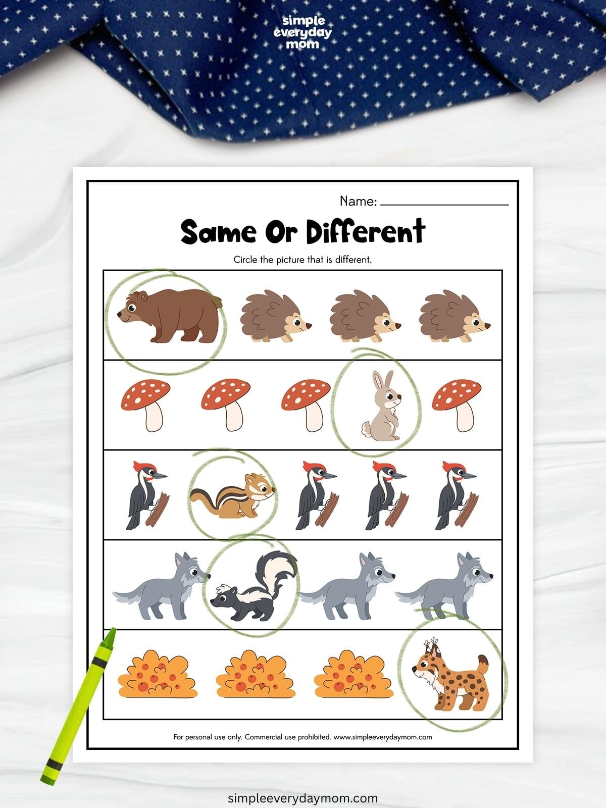 Woodland animal same-or-different worksheet with rows of forest-themed pictures, with the different image in each row circled in green.
