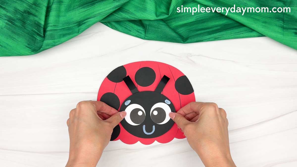Hands positioning the ladybug head onto the center of the spotted pumpkin body.