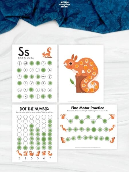Four squirrel-themed dot-marker worksheets featuring letter S recognition, a squirrel dot activity, number counting, and fine motor tracing practice.