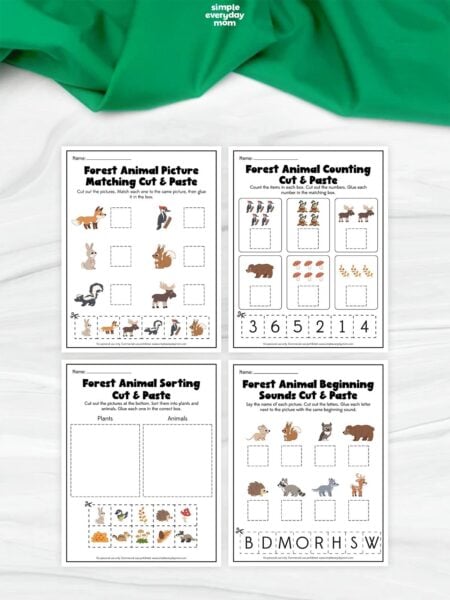 Four forest animal cut-and-paste worksheets featuring picture matching, counting, sorting plants and animals, and matching animals to their beginning sounds.