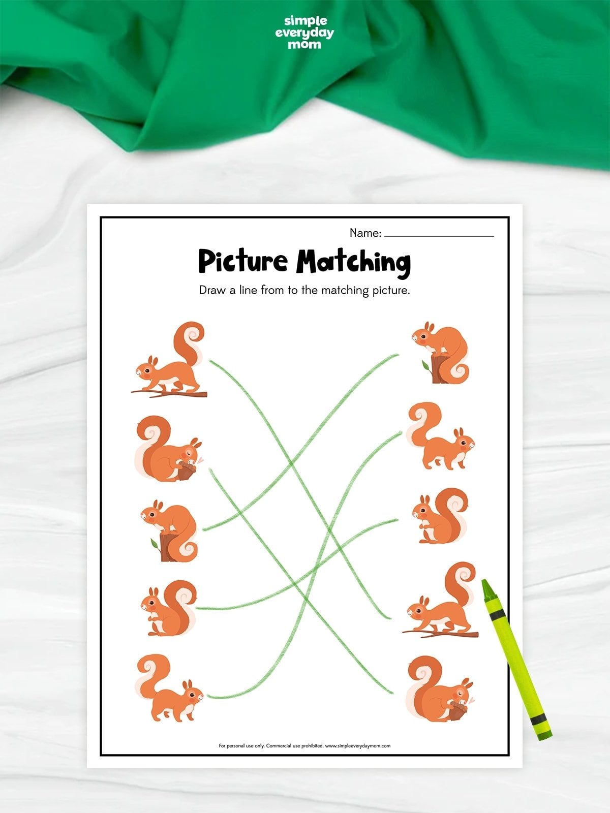 Picture matching squirrel worksheet for preschoolers with a draw-the-line visual matching activity.