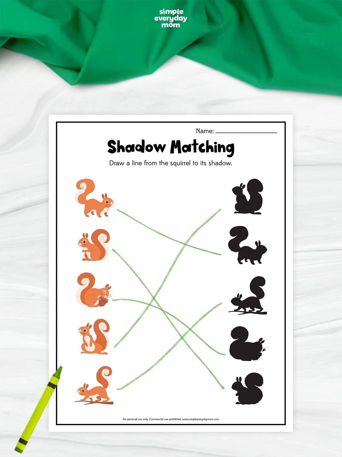 Shadow matching squirrel worksheet for preschoolers with a draw-the-line visual matching activity.